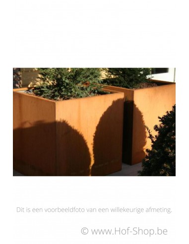 Carrez 80 x 40 x 80 cm - Jardinière Adezz en acier Corten