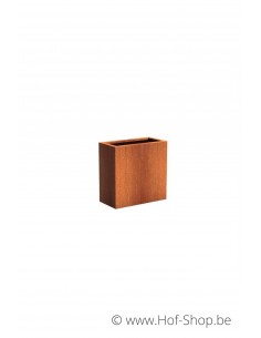 Andes 80 x 40 x 80 cm - Plantenbak in cortenstaal