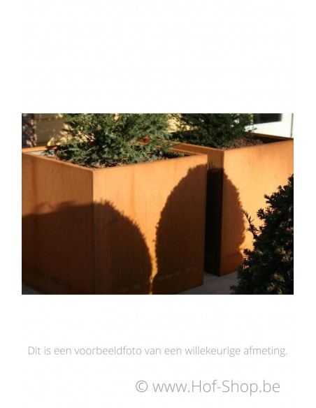 Carrez 80 x 40 x 40 cm - Jardinière Adezz en acier Corten