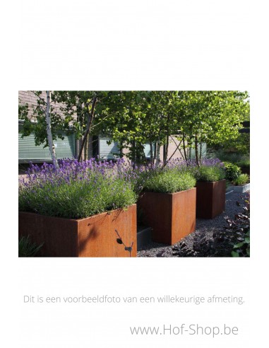 Carrez 80 x 40 x 40 cm - Jardinière Adezz en acier Corten
