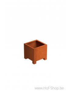 Andes met poten 70 x 70 x 70 cm - Plantenbak in cortenstaal