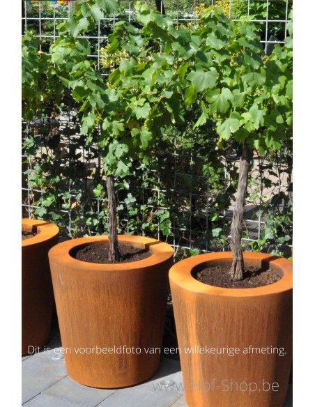 Cado - Plantenbak in cortenstaal Adezz