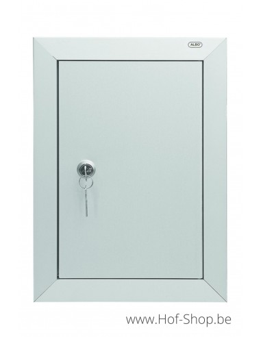 Brievenbusdeur type 529/1 natuur F1 - brievenkastdeur aluminium