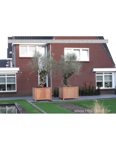 Valencia - Plantenbak in hardhout