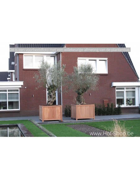 Valencia 120 x 40 x 80 cm - Jardinière Adezz en bois dur