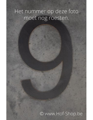 Numéro 9 - acier Corten de 30 cm de haut (Ari)