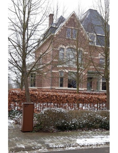 Dropbox Small Cortenstaal Look - pakketbus aluminium