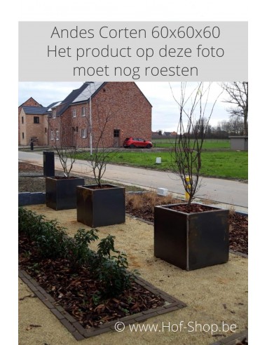 Carrez 60 x 60 x 60 cm - Jardinière Adezz en acier Corten