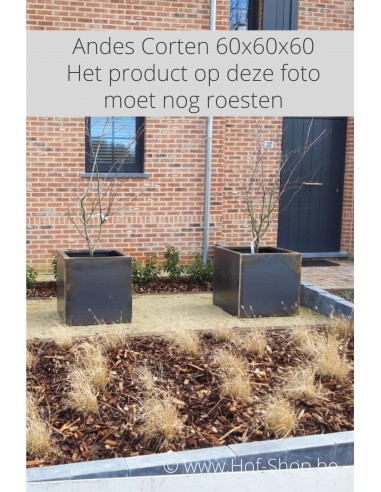 Andes 60 x 60 x 60 cm - Plantenbak in cortenstaal