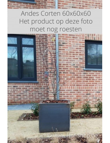 Carrez 60 x 60 x 60 cm - Jardinière Adezz en acier Corten