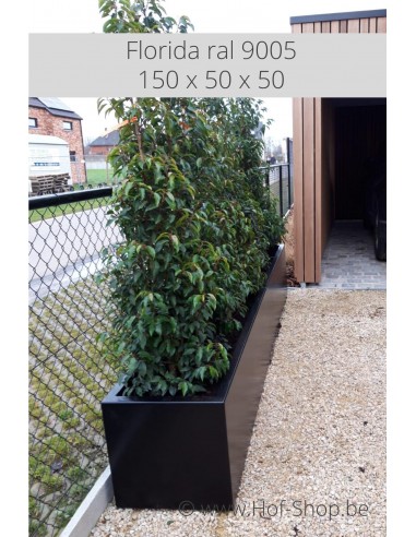 Carrez 150 x 50 x 50 cm - Jardinière Adezz en aluminium