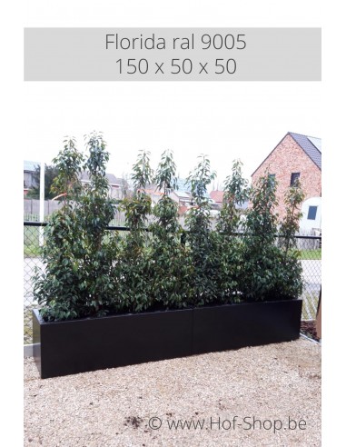 Carrez 150 x 50 x 50 cm - Jardinière Adezz en aluminium
