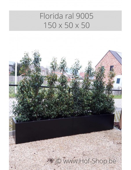 Carrez 150 x 50 x 50 cm - Jardinière Adezz en aluminium