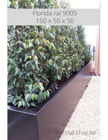 Carrez 150 x 50 x 50 cm - Jardinière Adezz en aluminium