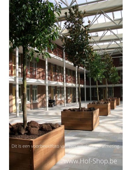 Carrez 150 x 40 x 44 cm - Jardinière Adezz en bois dur
