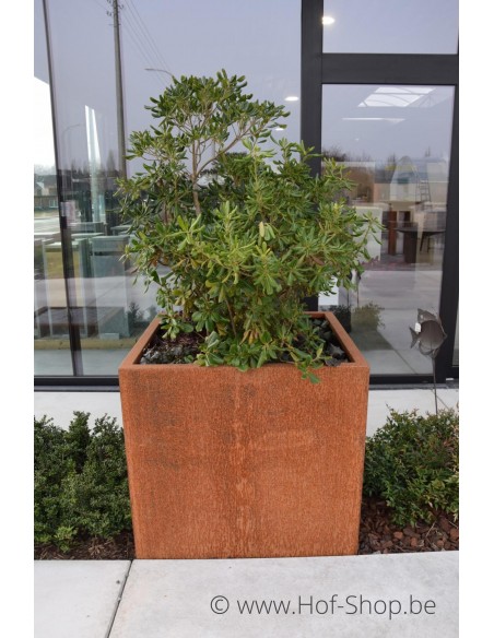 Carrez 100 x 100 x 100 cm - Jardinière Adezz en acier Corten
