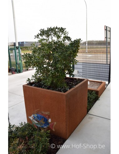 Carrez 100 x 100 x 100 cm - Jardinière Adezz en acier Corten