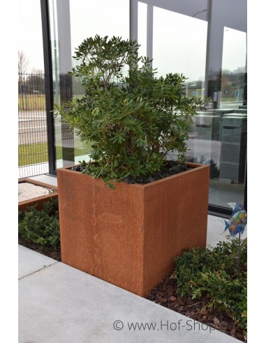 Carrez 100 x 100 x 100 cm - Jardinière Adezz en acier Corten