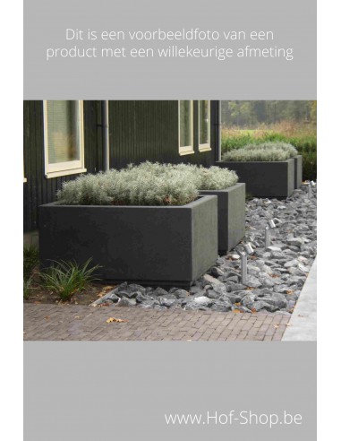Buxus - Plantenbak in polyester Adezz