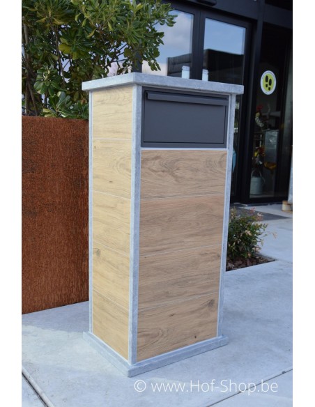 Palma Parcel Houtlook - pakketbus arduin