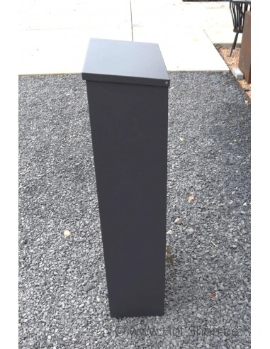 Allux 600 AN Back Door - pakketbus