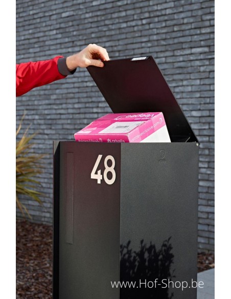 Fenix Top Large RAL 9005 - boîte à colis eSafe aluminium
