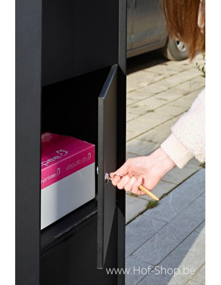 Fenix Top Large RAL 9005 - boîte à colis eSafe aluminium