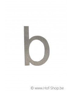 Letter B - inox 10 cm hoog (Ari)