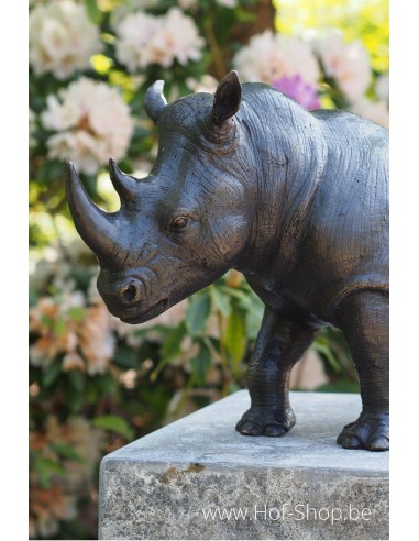 MODÈLE DE SALLE D'EXPOSITION Rhinocéros - statue en bronze (BS1352B)