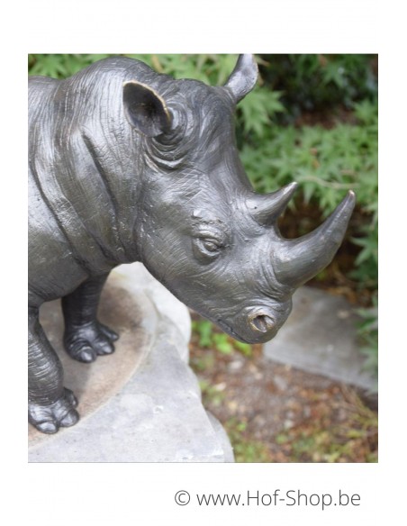 MODÈLE DE SALLE D'EXPOSITION Rhinocéros - statue en bronze (BS1352B)