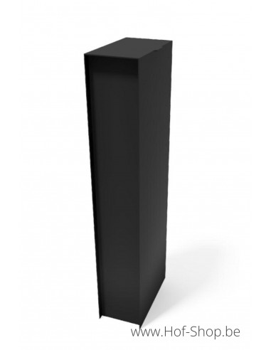 Fenix Top Medium digital RAL 9005 - eSafe pakketbus aluminium met DCL slot