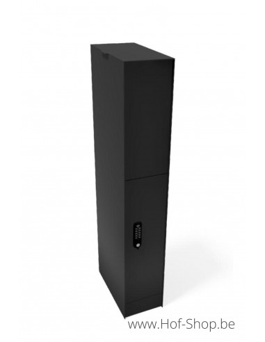 Fenix Top Medium digital RAL 9005 - eSafe pakketbus aluminium met DCL slot