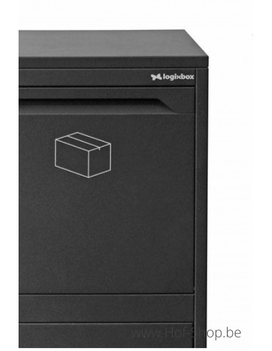 Frontbox Deluxe Stardust Graphitgrey Front Door - Boîte à colis LogixBox