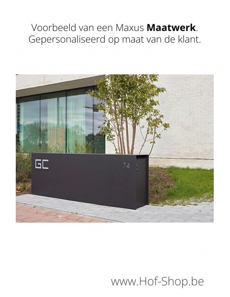 Maxus Single 1100 avec porte à paquets - eSafe boîte à colis aluminium