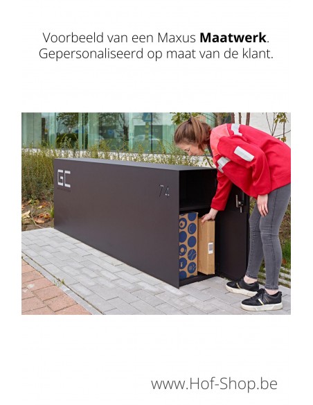 Maxus Single 1100 avec porte à paquets - eSafe boîte à colis aluminium