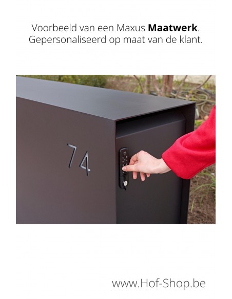 Maxus Single 1100 avec porte à paquets - eSafe boîte à colis aluminium