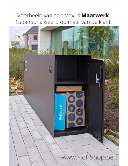 Maxus Single 1100 avec porte à paquets - eSafe boîte à colis aluminium
