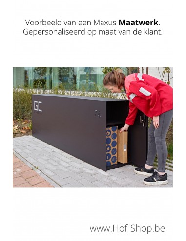 Maxus Maatwerk mét pakketdeur - Pakketmuur eSafe - pakketbus aluminium