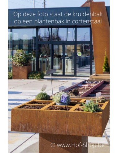 Belar 120 x 120 x 30 cm - Kruidenbak Geroba in cortenstaal