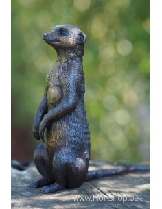 Suricate assis - statue en bronze (BS1379B)