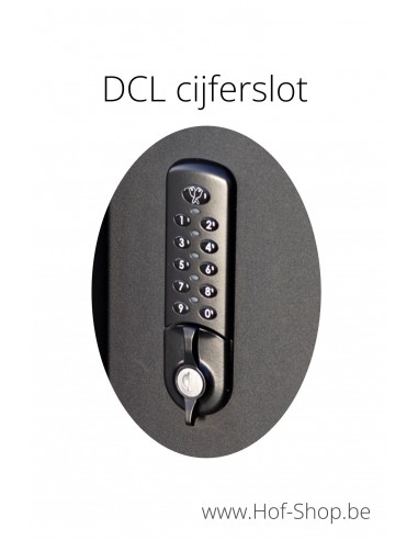 Fenix Top Medium digital avec une couleur de votre choix - eSafe boîte à colis aluminium avec serrure DCL