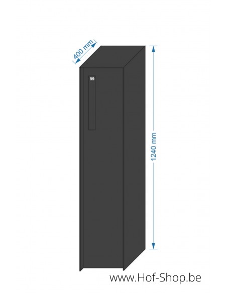 Fenix Front Back Door RAL 9005 - boîte à colis eSafe aluminium