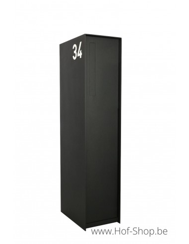Fenix Front Back Doors RAL 9005 - eSafe pakketbus aluminium