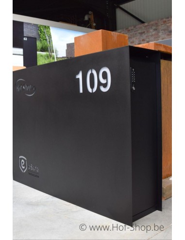 Maxus Single 1400 mét pakketdeur - eSafe pakketbus aluminium