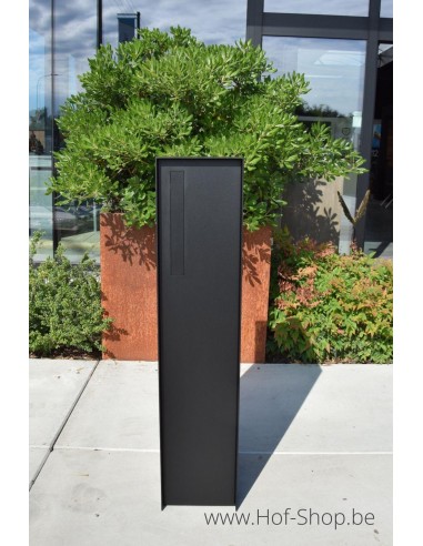 Fenix Front Back Door RAL 9005 - boîte à colis eSafe aluminium