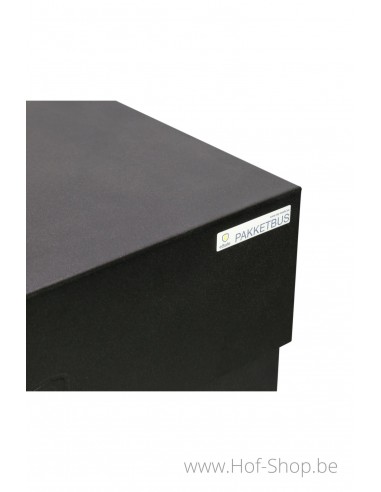 Topak RAL 9005 - boîte à colis eSafe aluminium
