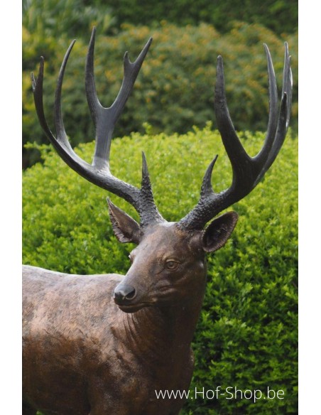 Cerf - statue en bronze (B837)