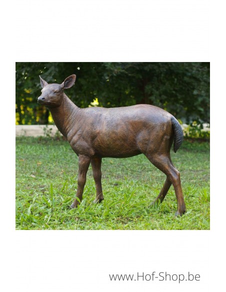 Cerf femelle - statue en bronze (B971-1)