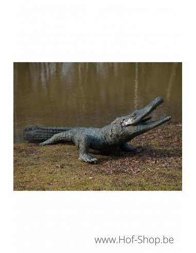 Alligator - statue en bronze (B844)