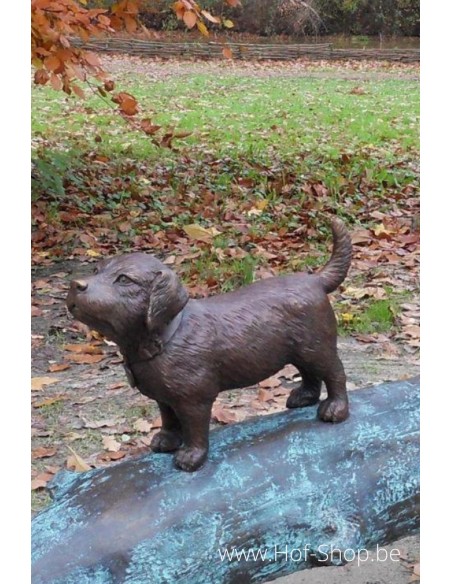 Garçon avec chien sur un arbre - statue en bronze (B556)